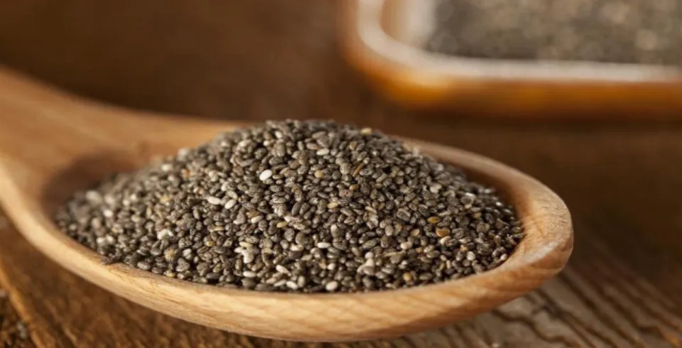 Çia toxumunun faydaları