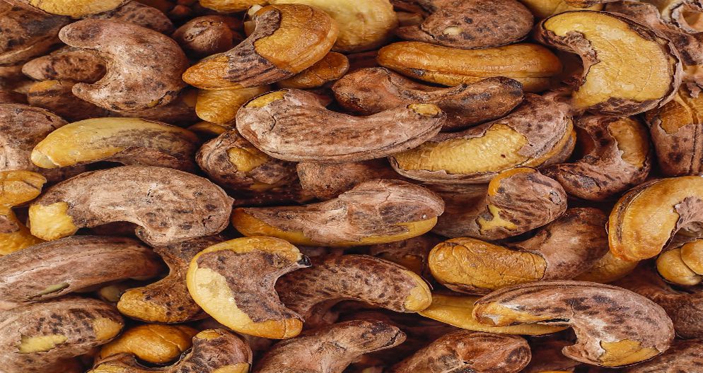 KAJU QABIQLI QOVRULMUŞ KAJU QABIQLI QOVRULMUŞ