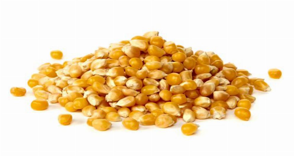 POPKORN