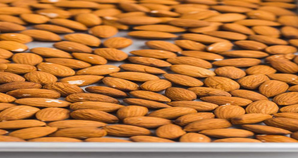 BADAM XIRDA BADAM XIRDA