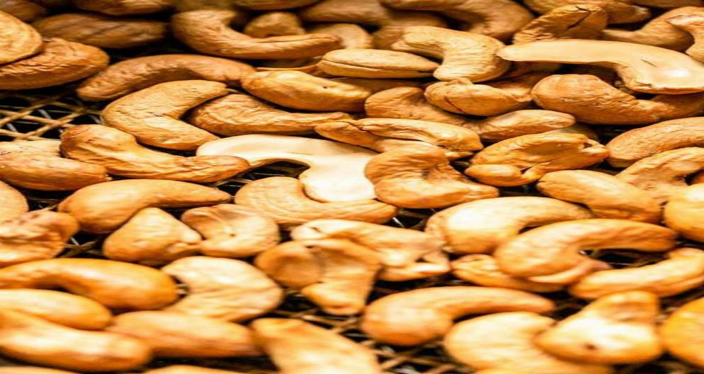 KAJU QOVRULMUŞ KAJU QOVRULMUŞ